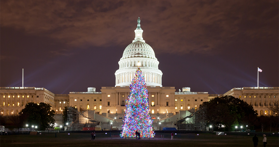 Capitol Christmas Tree Begins Journey across America - Teletrac Navman US